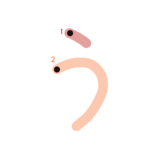 ひらがな『う』のなぞり書き（カラー）